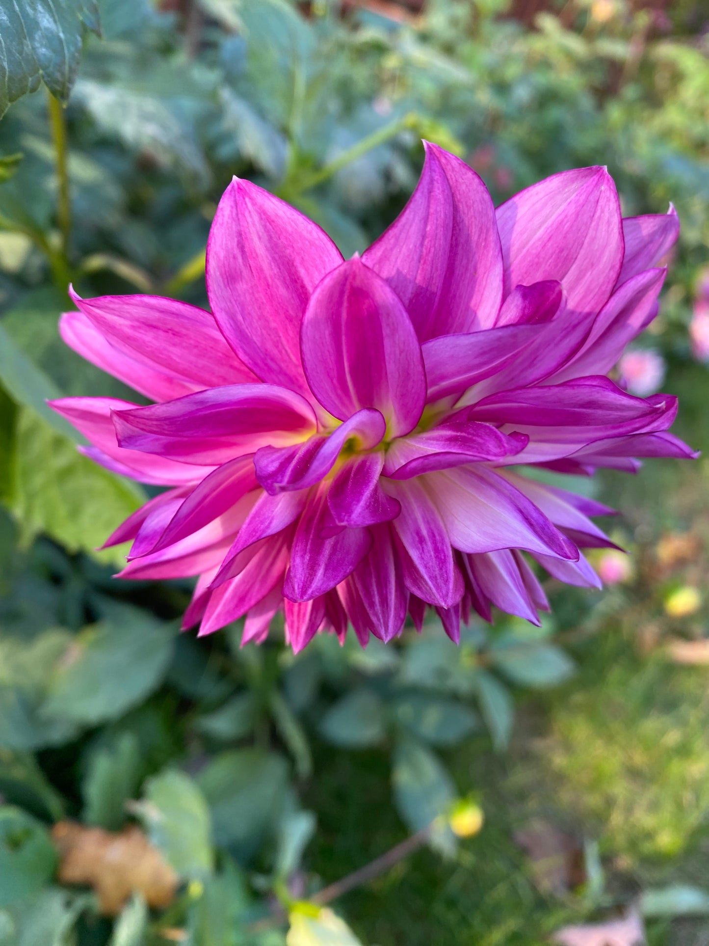 Sungate's Stryker Tuber