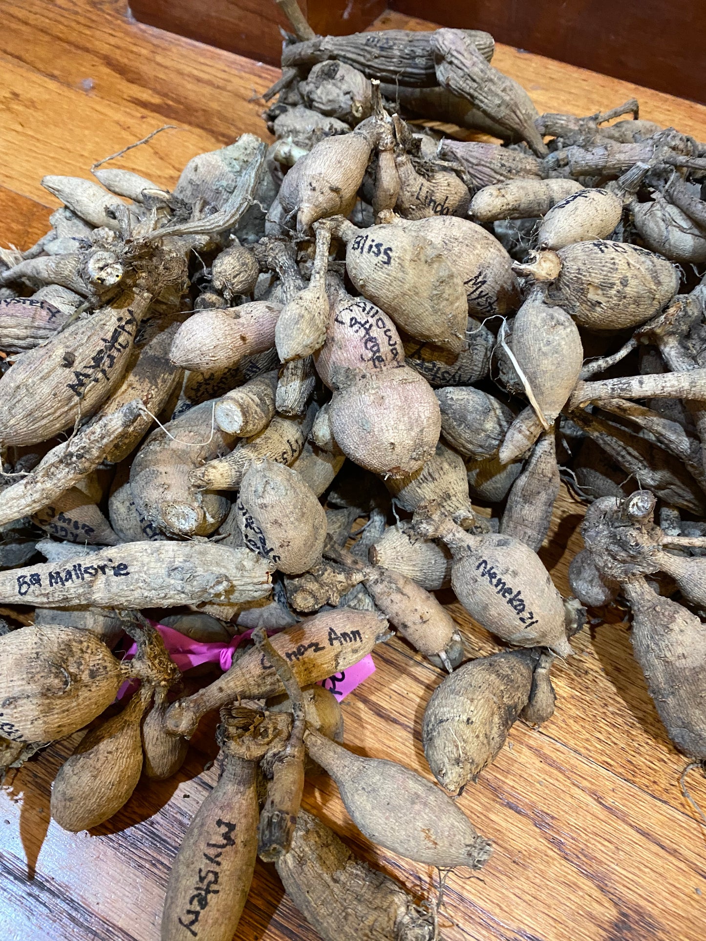 Mystery Grab Tuber--Grab a few!