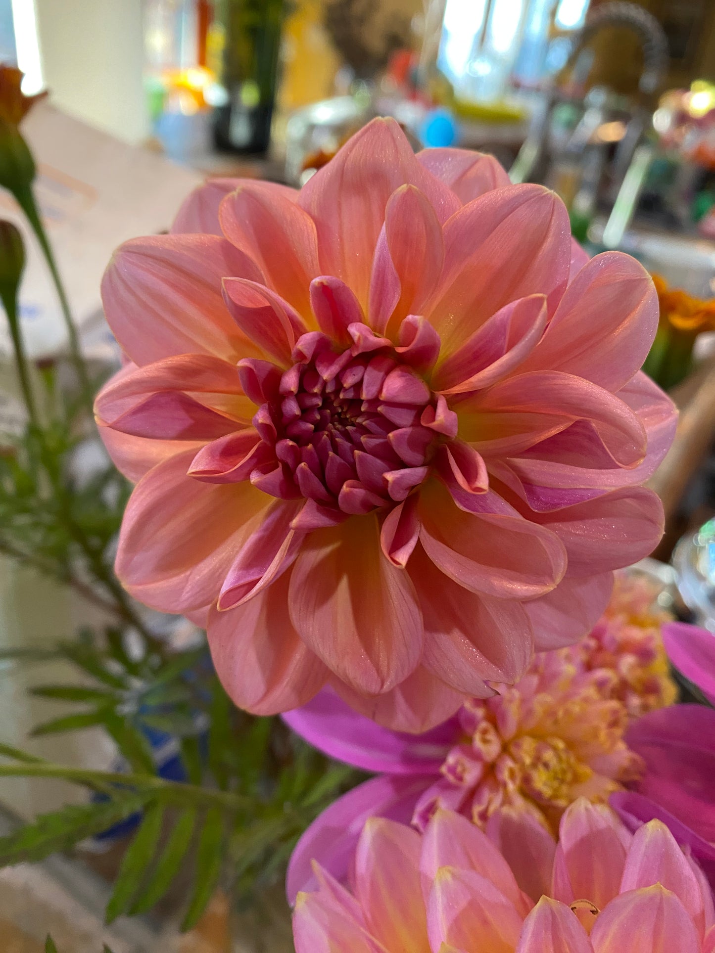 Southern Belle Tuber